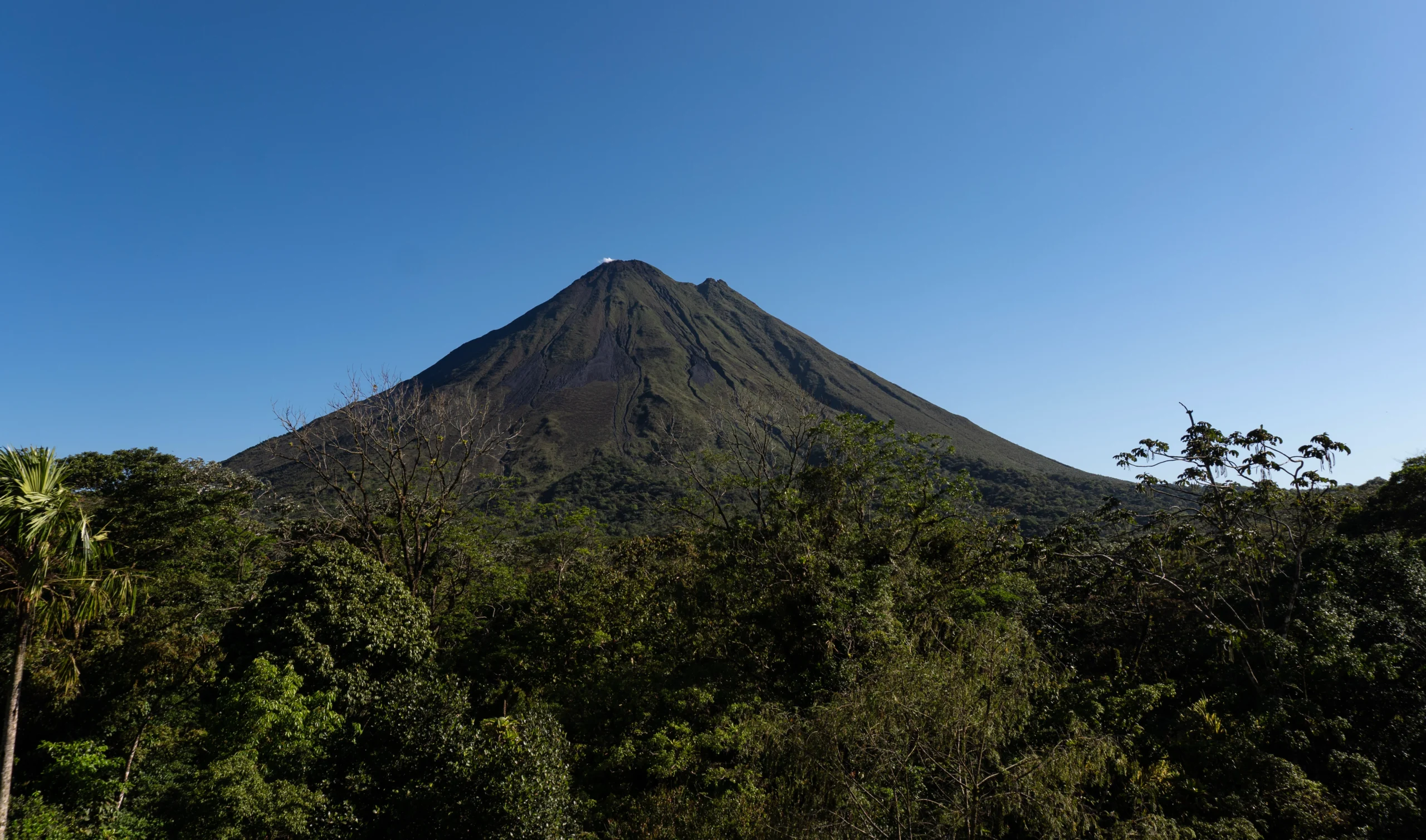 11-DSC04736